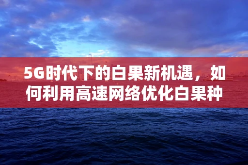 5G时代下的白果新机遇，如何利用高速网络优化白果种植与销售？