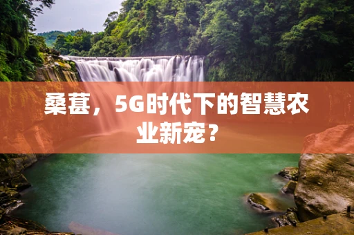 桑葚，5G时代下的智慧农业新宠？