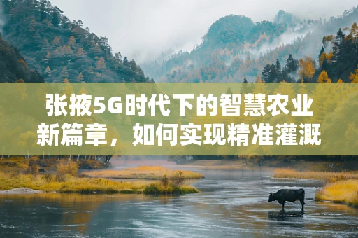 张掖5G时代下的智慧农业新篇章，如何实现精准灌溉与高效管理？