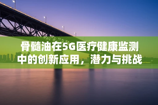 骨髓油在5G医疗健康监测中的创新应用，潜力与挑战并存？