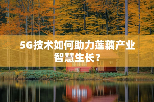 5G技术如何助力莲藕产业智慧生长？