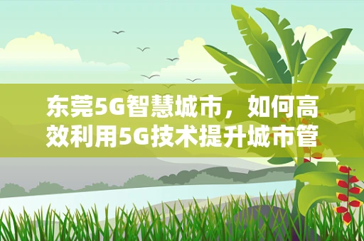 东莞5G智慧城市，如何高效利用5G技术提升城市管理效率？