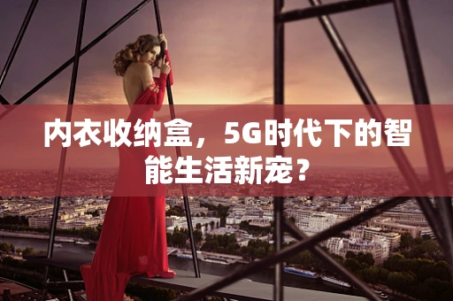 内衣收纳盒，5G时代下的智能生活新宠？