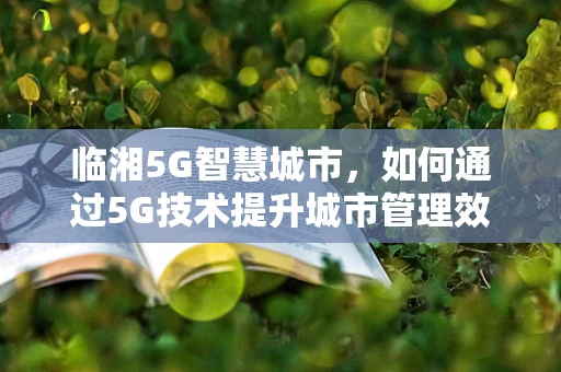 临湘5G智慧城市，如何通过5G技术提升城市管理效率？