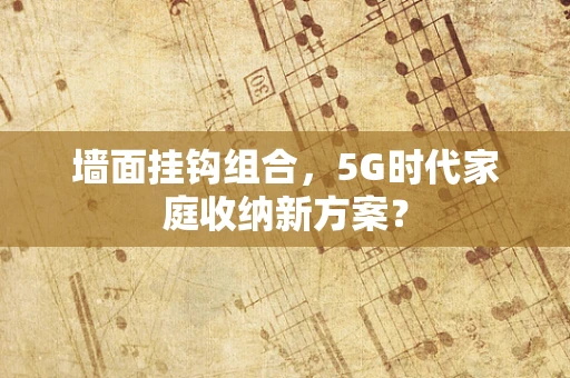 墙面挂钩组合，5G时代家庭收纳新方案？