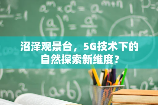 沼泽观景台，5G技术下的自然探索新维度？