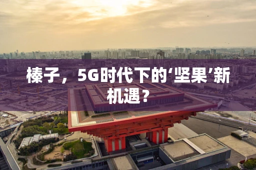 榛子，5G时代下的‘坚果’新机遇？