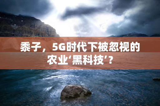 黍子，5G时代下被忽视的农业‘黑科技’？